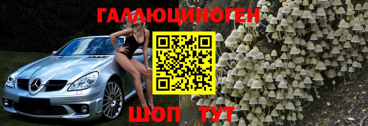 Галлюциногенные грибы MAGIC MUSHROOMS Альметьевск