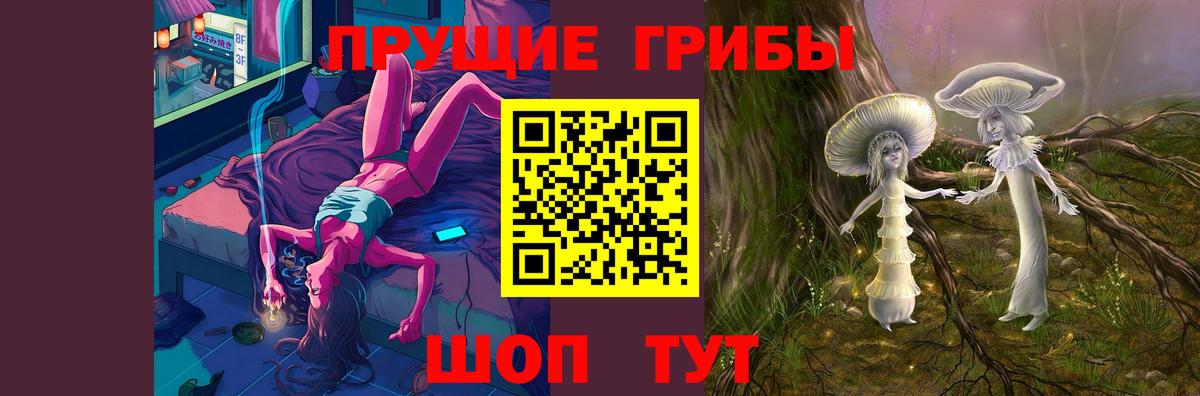 Альметьевск  Галлюциногенные грибы Psilocybe  Вход с VPN 